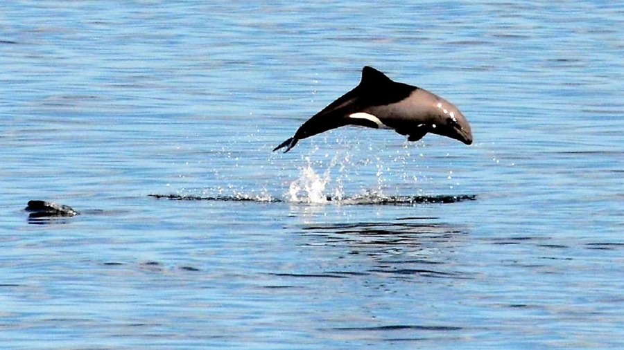 3 Bedroom Property for Sale in Steenbergs Cove Western Cape